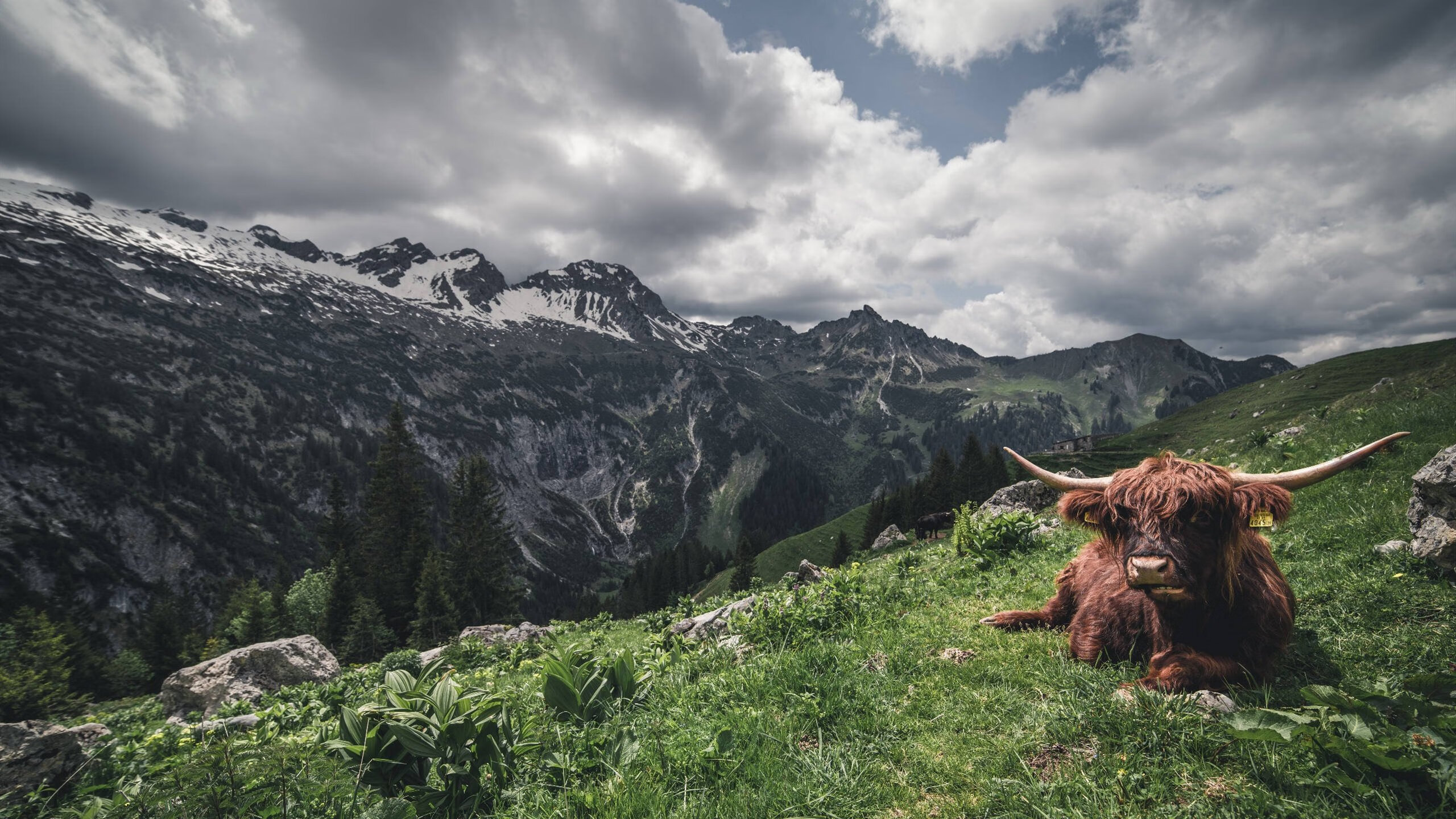 摩纳哥攻势凶猛，冲击未来更高阶段，摩纳哥v4