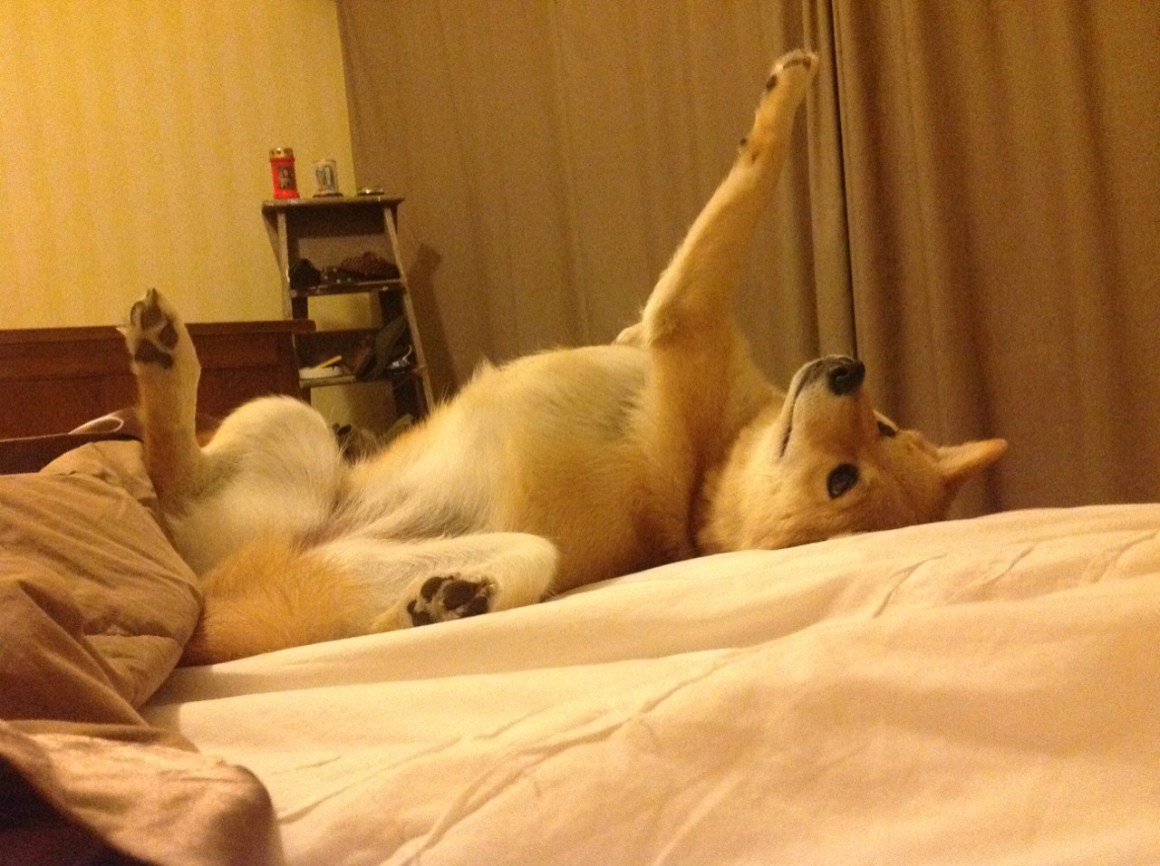 开云体育APP下载-“足球文化推广电影亮相，宣扬体育精神”，足球宣传文章